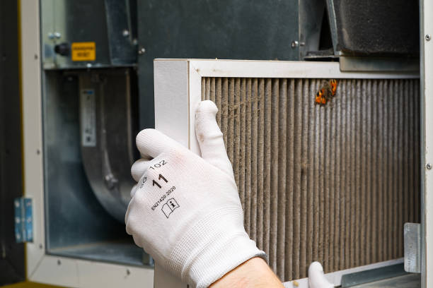 Best Air Duct Cleaning Near Me  in Cortland, OH