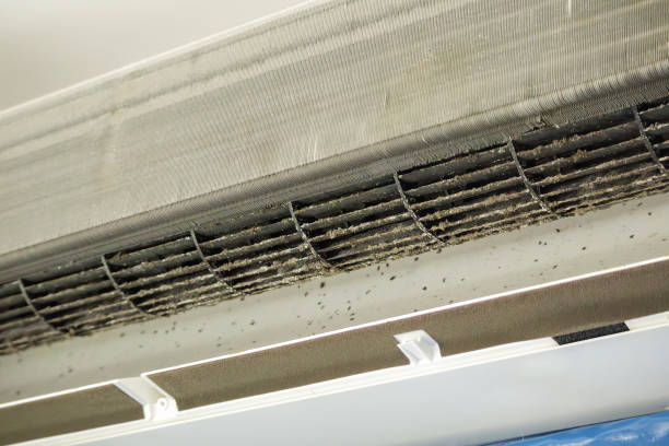 Best HVAC Air Duct Cleaning  in Cortland, OH